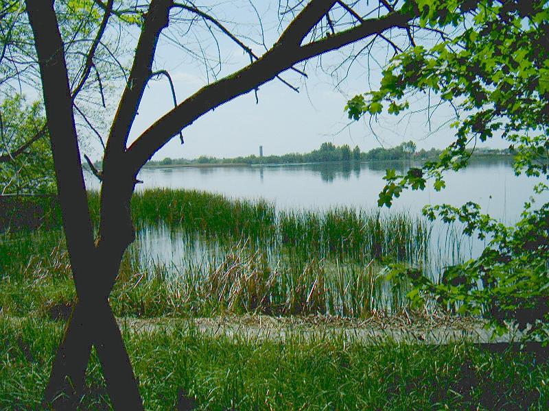 20120501 056.jpg
